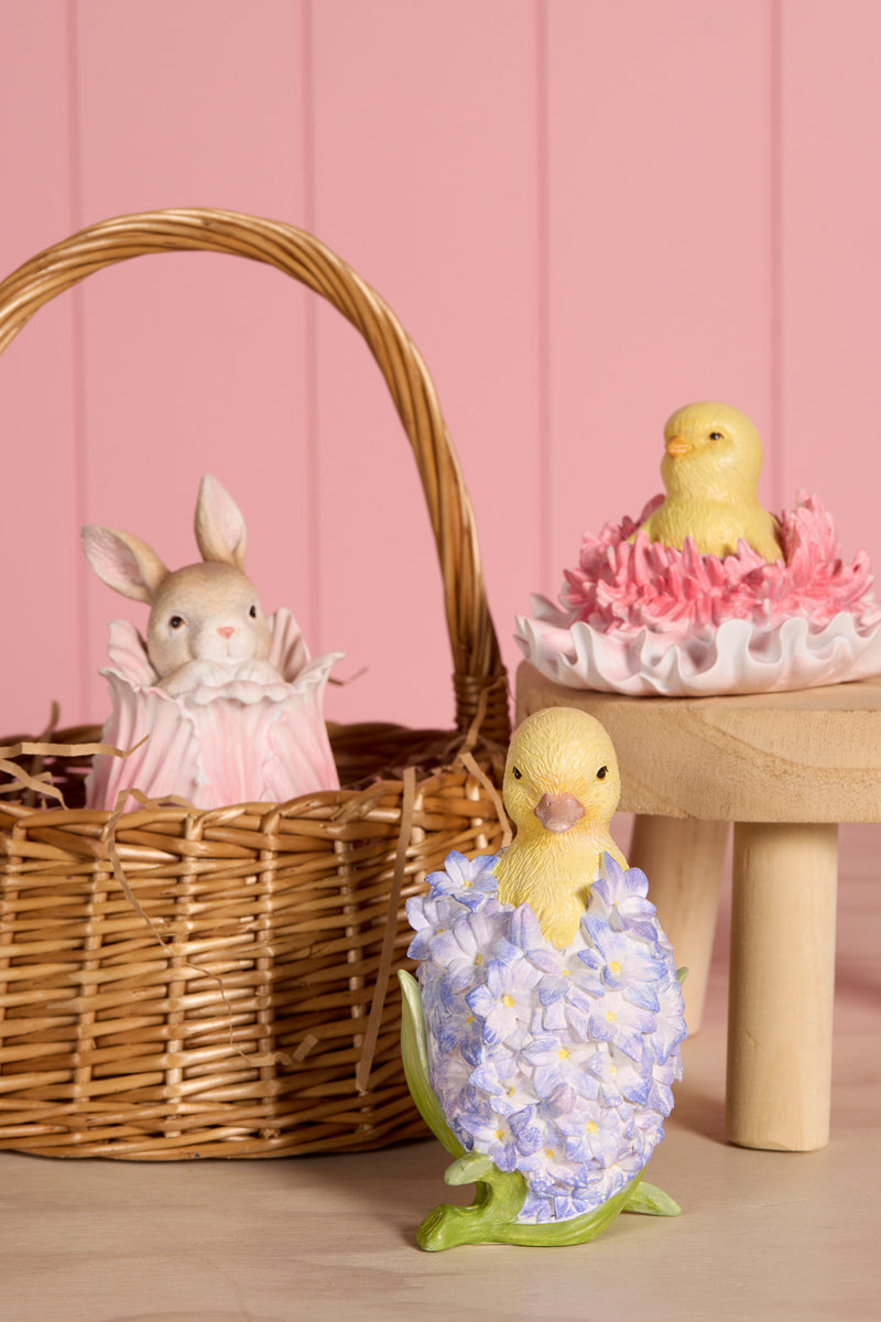 Duckling with Hyacinth