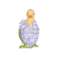 Duckling with Hyacinth