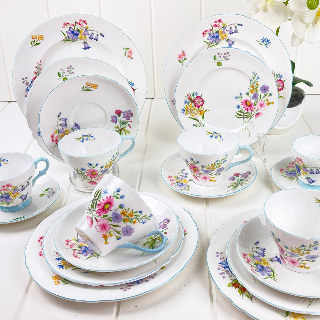 Shelley Vintage Wild Flowers 13668 Quad