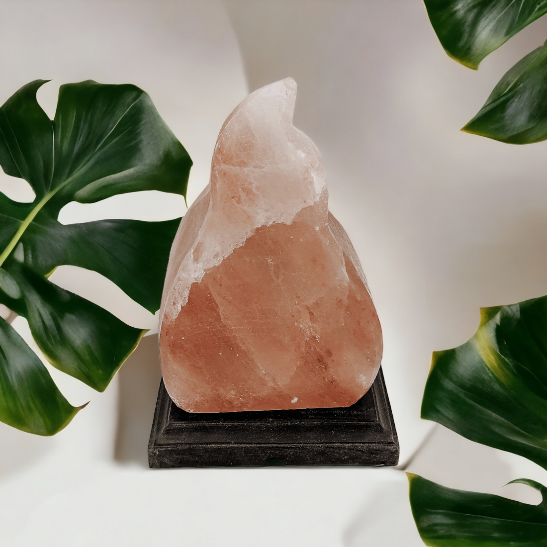 Wave Salt Lamp