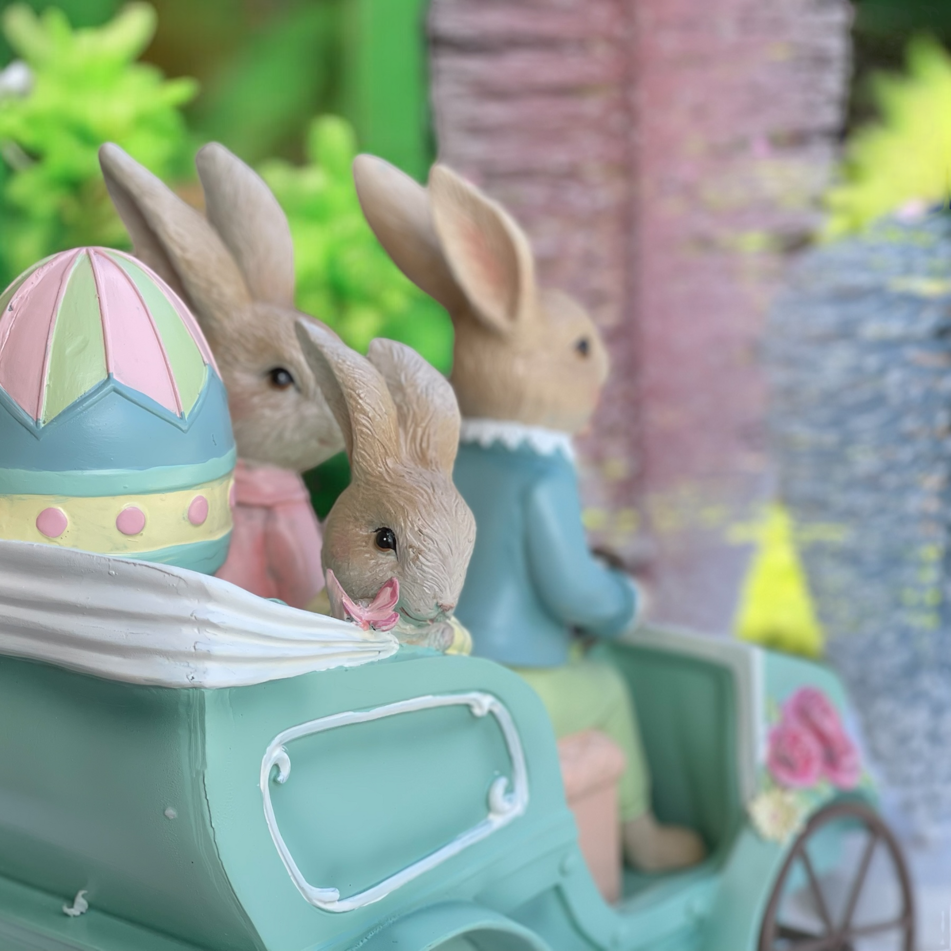 Rabbit Family
