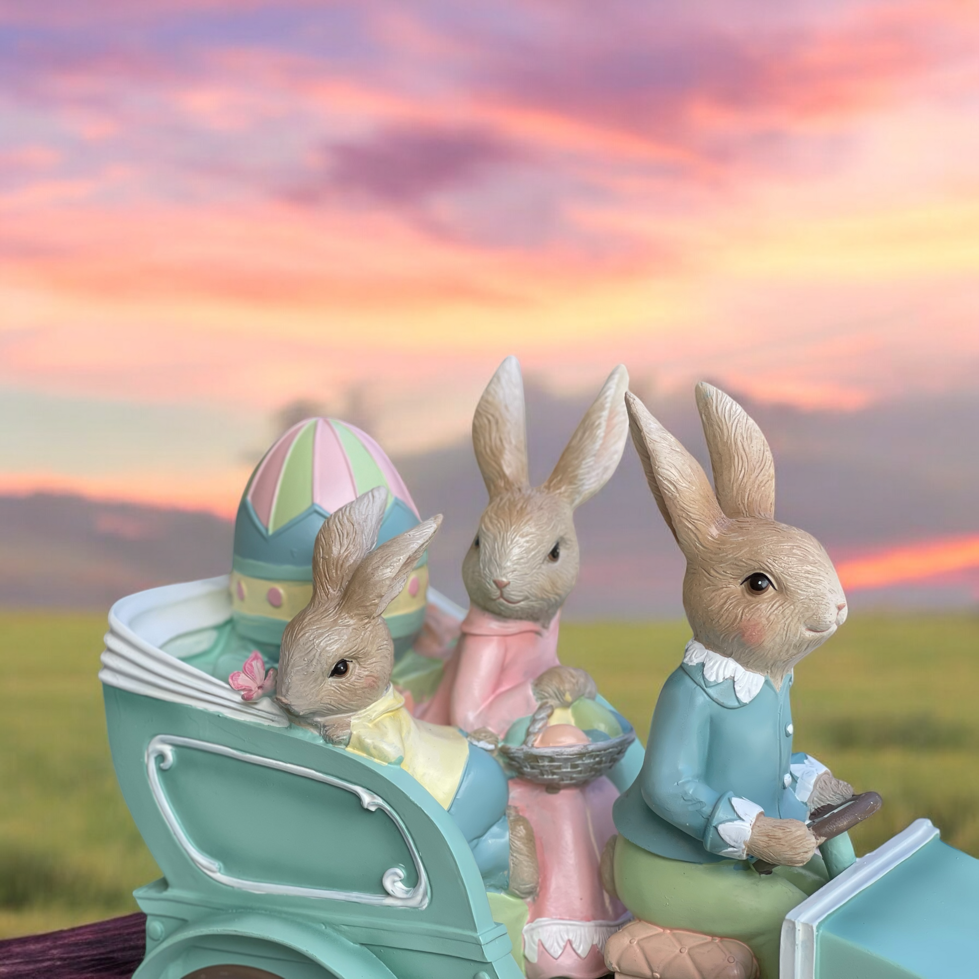 Rabbit Family