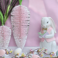Pink Brush Carrot