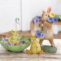 Mr Duck with Pansy
