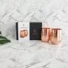 Stemless Copper Glasses