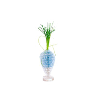 Blue Brush Carrot