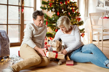 Couple giving Christmas gift to dog under decorated tree, festive home decor scene