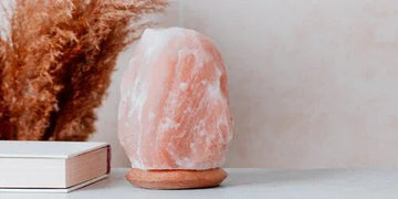 Pink Himalayan salt lamp with warm glow, styled with dried pampas grass and books for cozy home decor