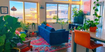 Stylish blue sofa with vibrant rug and green plants in modern living room