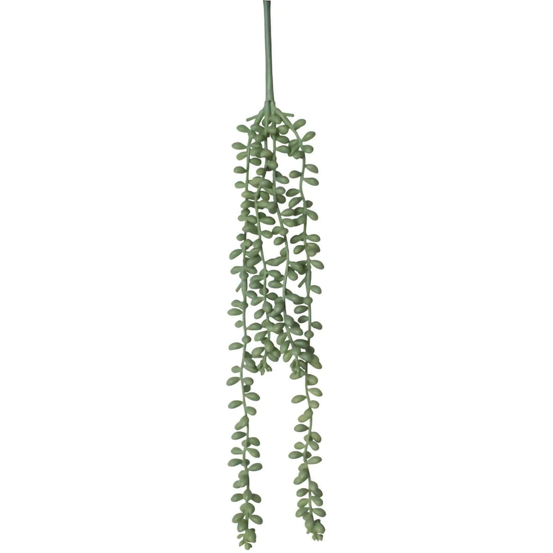 Artificial trailing succulent vine for home décor, perfect for hanging displays and modern interiors.