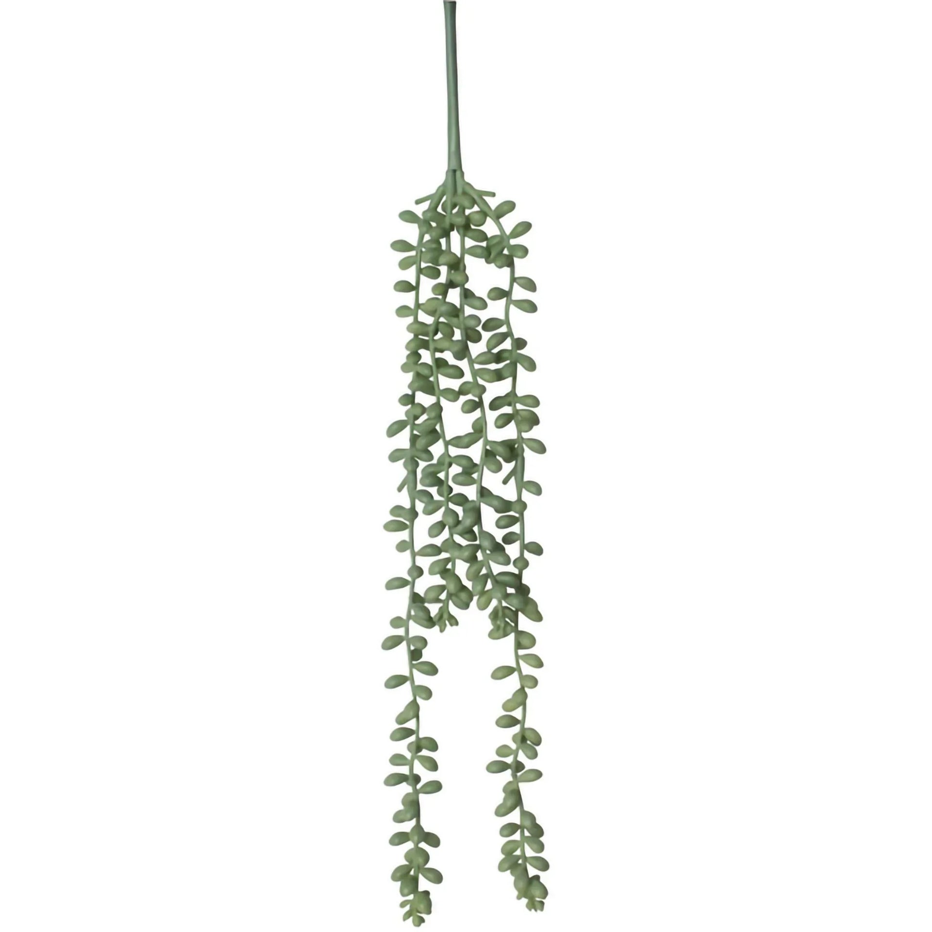 Artificial trailing succulent vine for home décor, perfect for hanging displays and modern interiors.