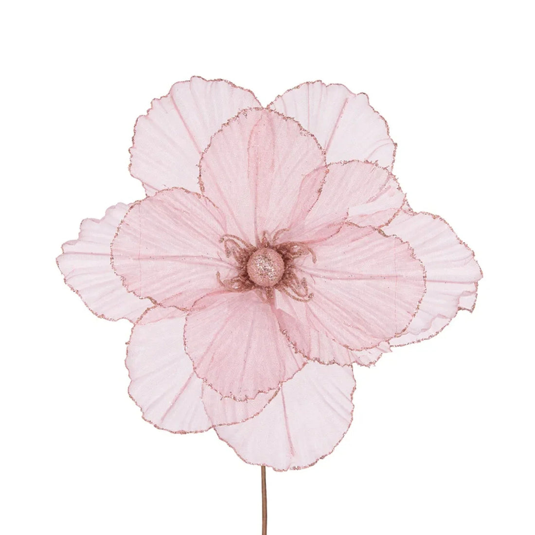 Sheer Pink Camellia 27cm