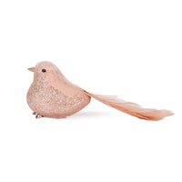 Pale Pink/Peach Curl Clip Bird