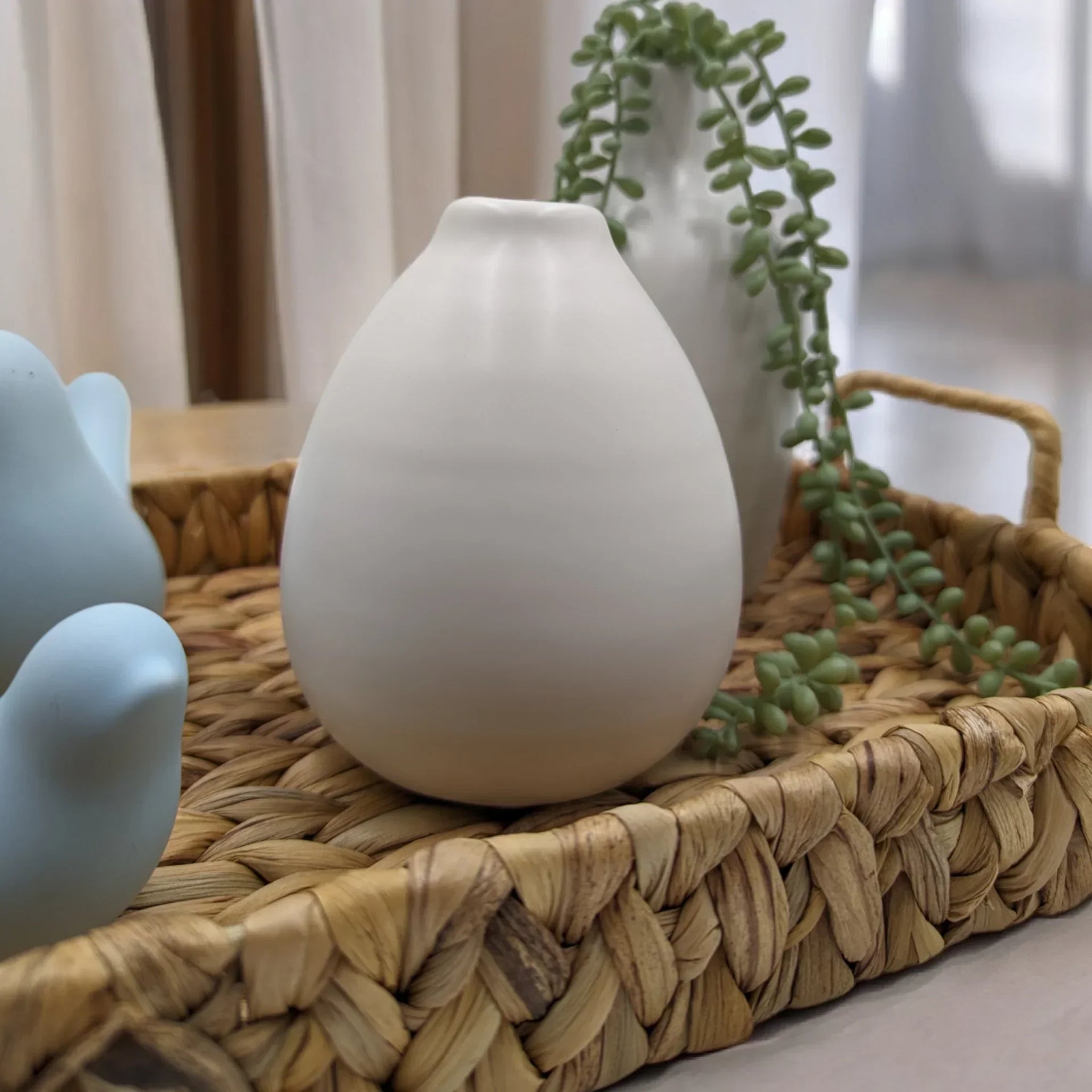 White ceramic vase on woven tray with green succulent, modern home decor accent piece