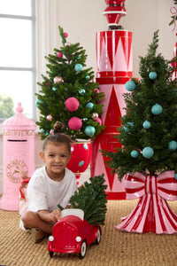 Pink Mailbox Countdown 13x13x36cm