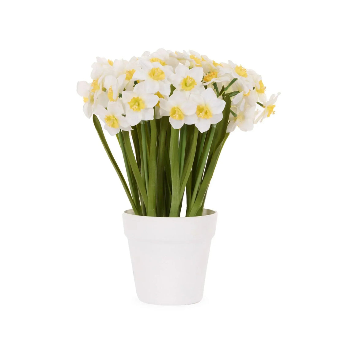 White daffodils with yellow centers in a white pot, perfect for home décor and vintage-style interiors.