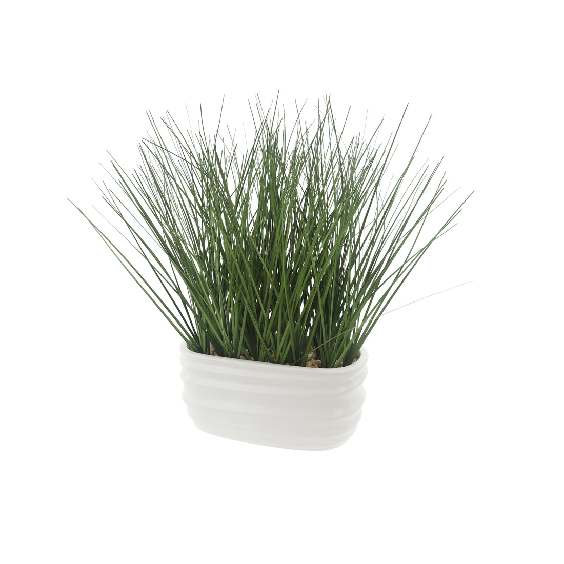 Onion Grass