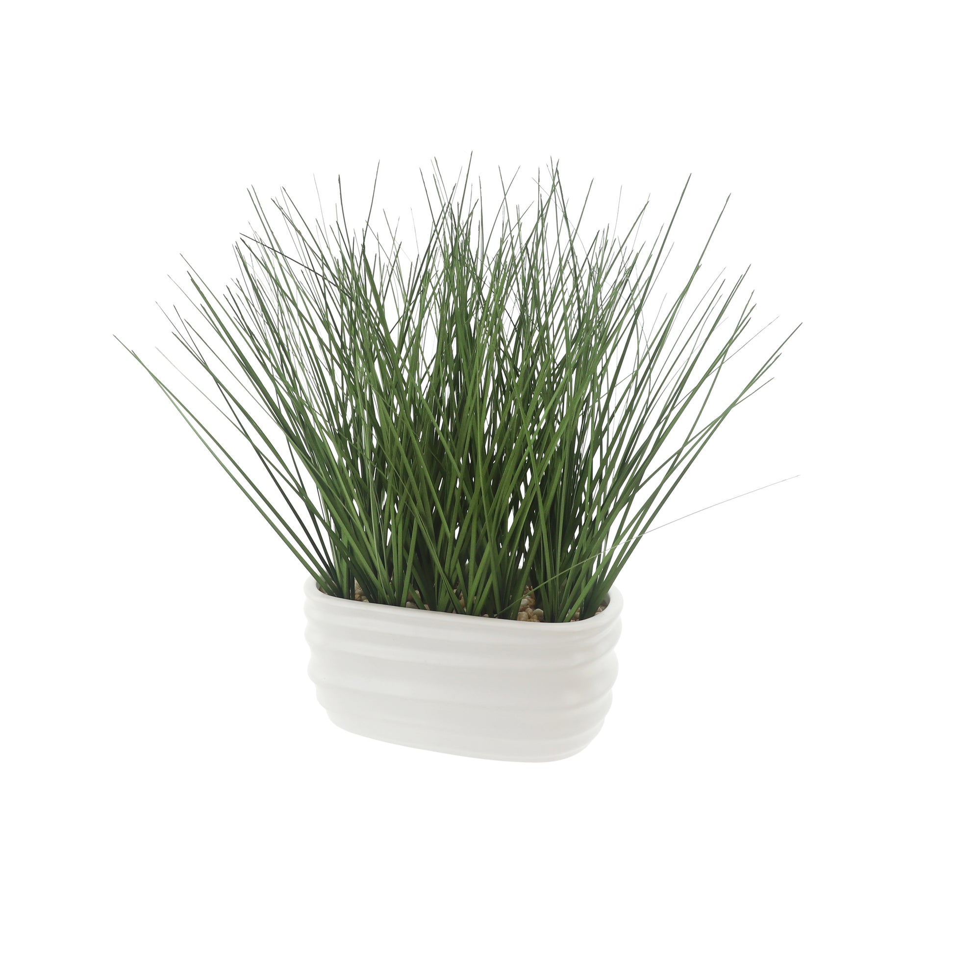 Onion Grass