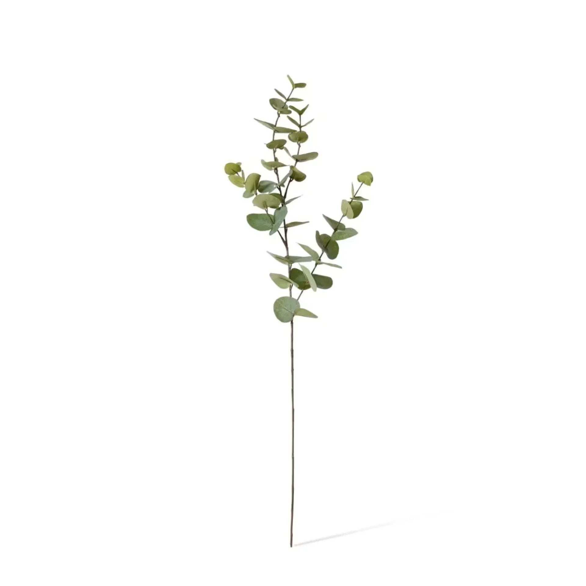 Artificial eucalyptus branch with green leaves for home décor and styling