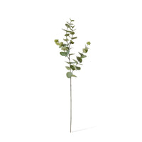 Artificial eucalyptus branch with green leaves for home décor and styling