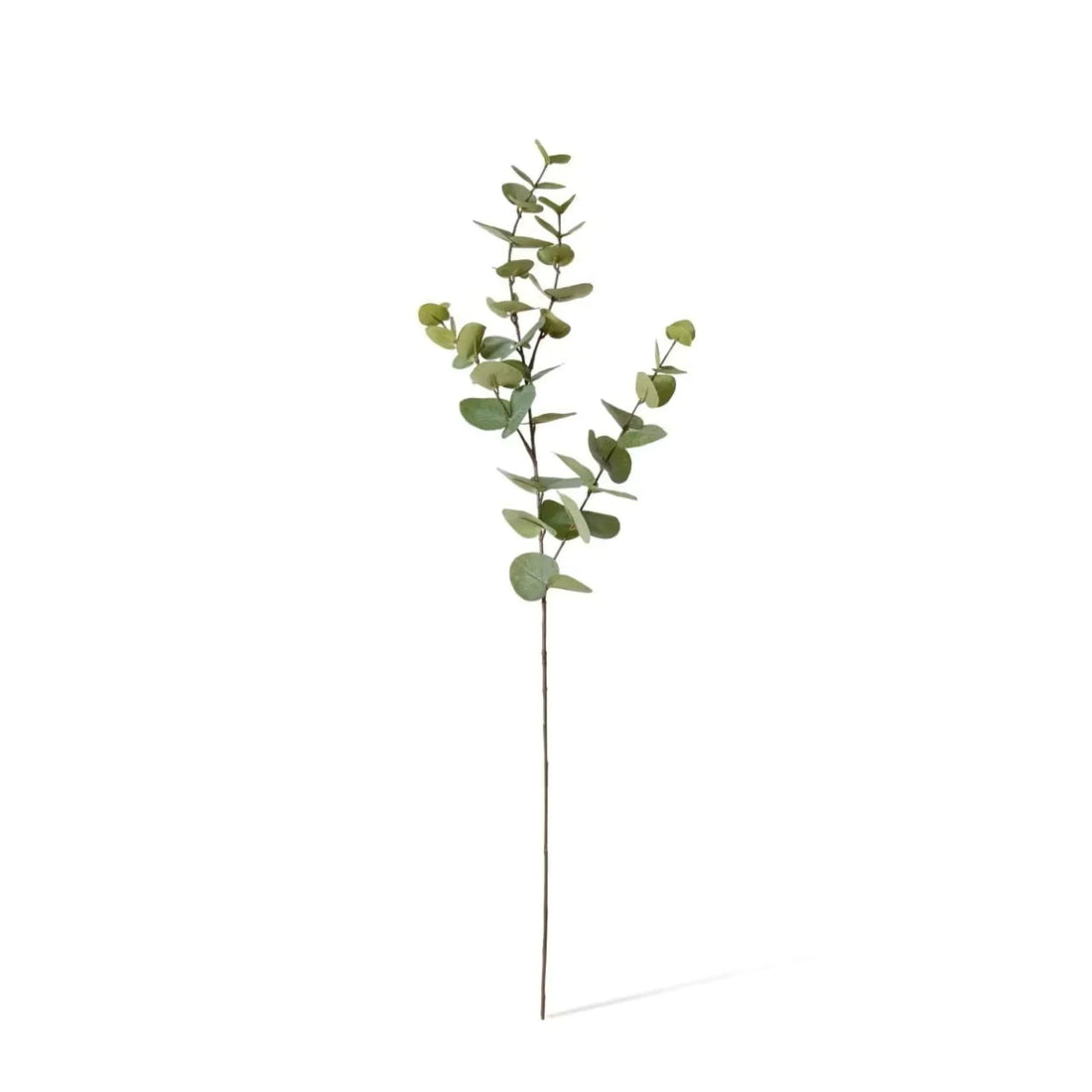 Eucalyptus Spray Grey Green 100cm