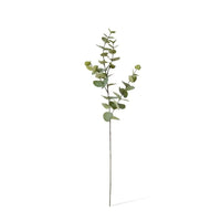 Eucalyptus Spray Grey Green 100cm