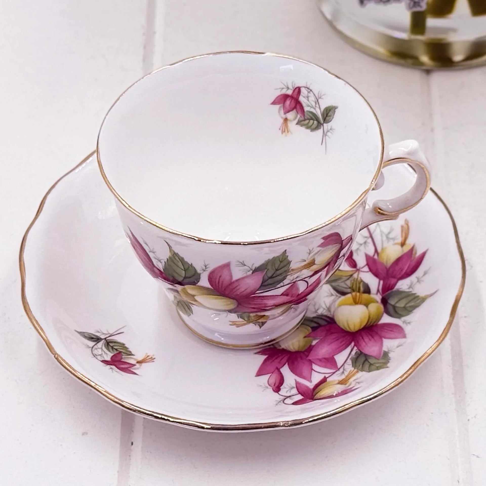 Royal Vale Fuchsia Duo