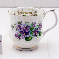 Royal Albert Flower of the Month February Mug (2)