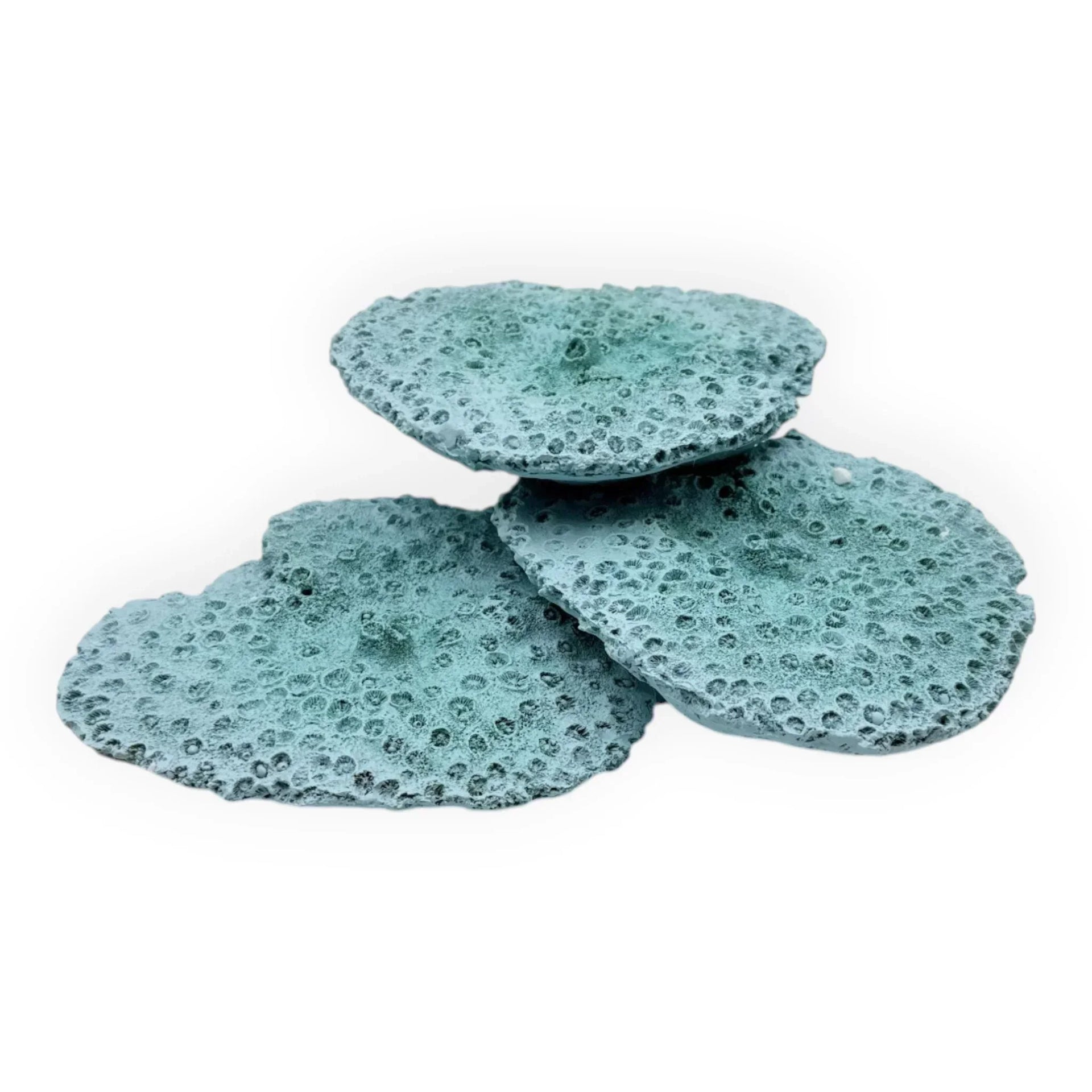 Teal coral-style coasters with textured surface, ideal for coastal home décor and table protection