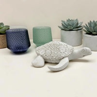 Glass Tealight Holder 7.5cm -Blue, White or Sage