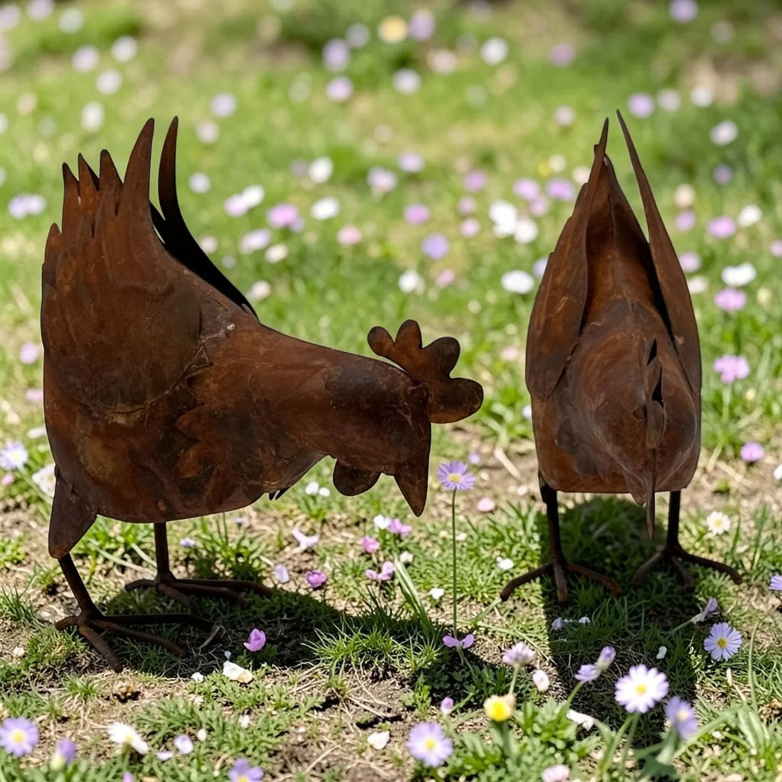 Cluckers The Pecking