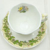 Royal Doulton Brambly Hedge Miniature Spring Teacup and Saucer Duo