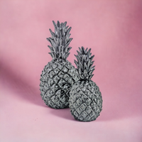 Black Pineapple