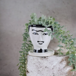 Monsieur Lucien Planter