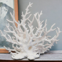 Coral Staghorn - White (Damaged Stock)
