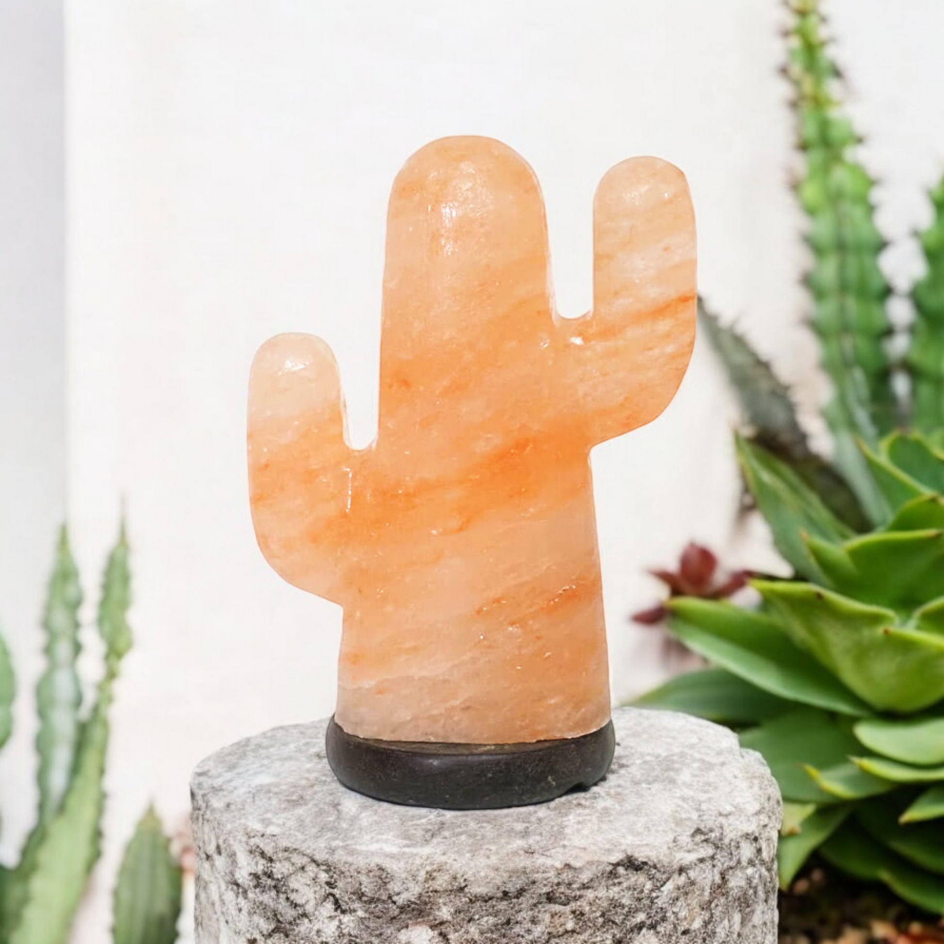 Cactus Salt Lamp