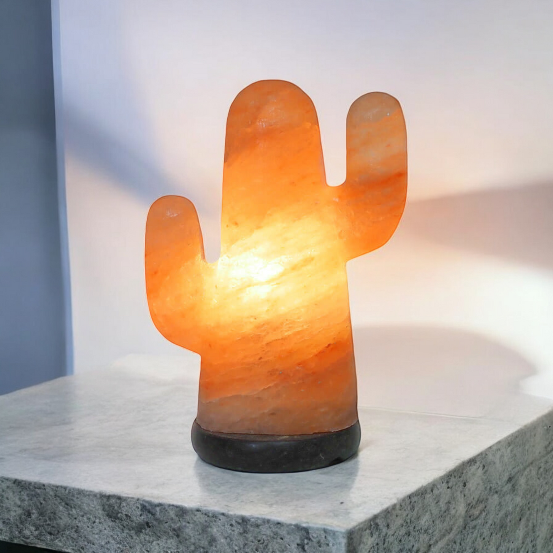 Cactus Salt Lamp