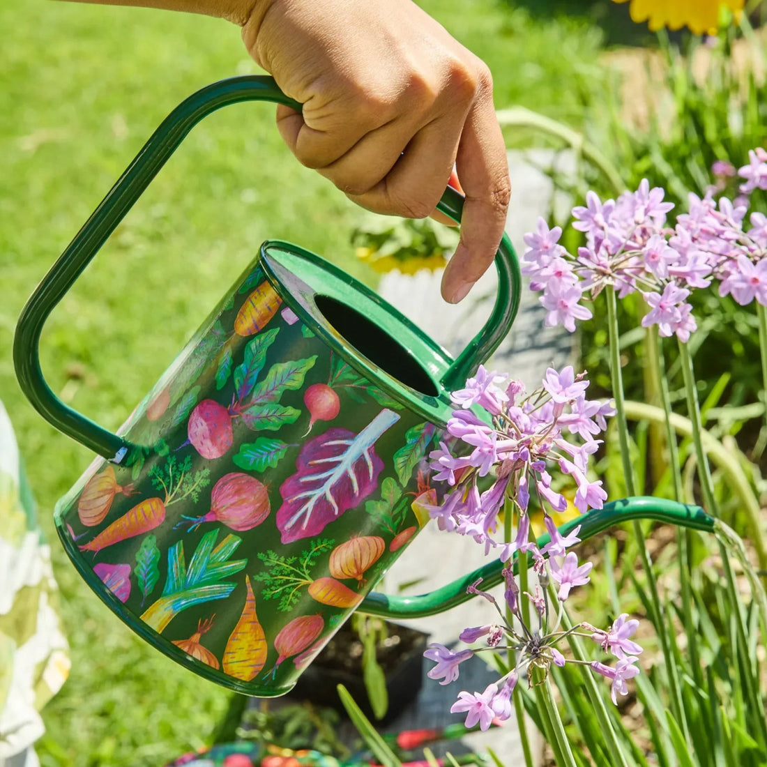 Green watering can with colorful vegetable print watering purple flowers in garden