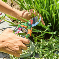 Colorful garden pruners trimming green herbs in sunny garden, perfect for home gardening tools and outdoor decor