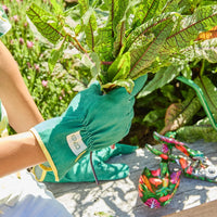 Green gardening gloves holding leafy greens, floral trowel & pruners nearby, outdoor garden scene