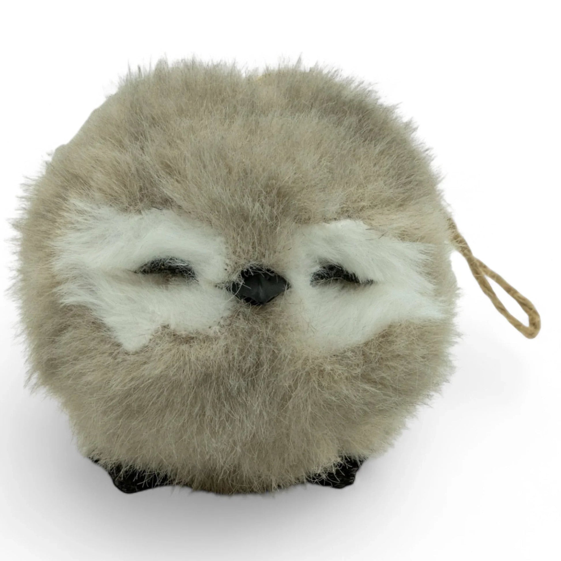 Grey Sitting Sleeping Owl