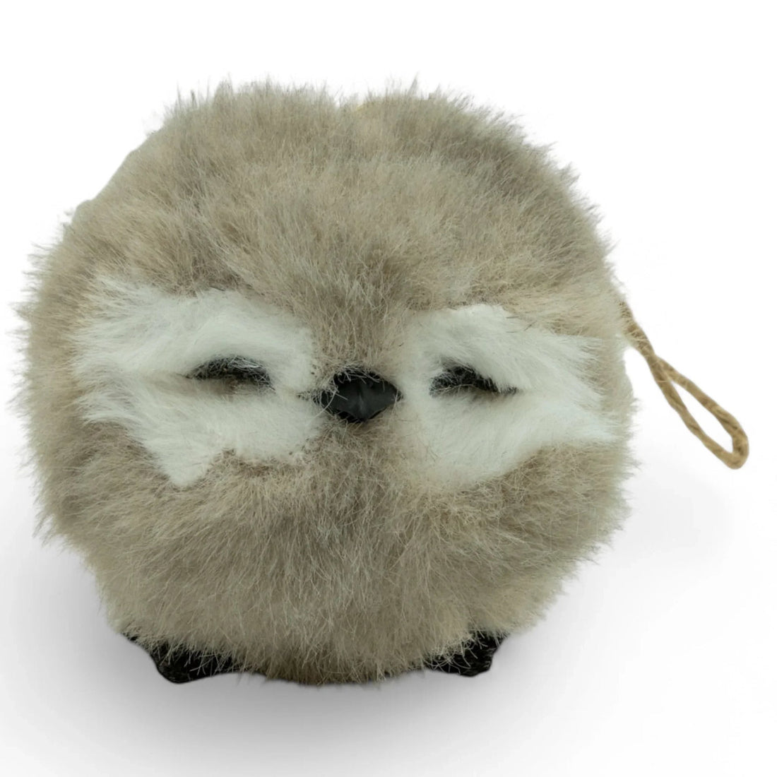 Grey Sitting Sleeping Owl