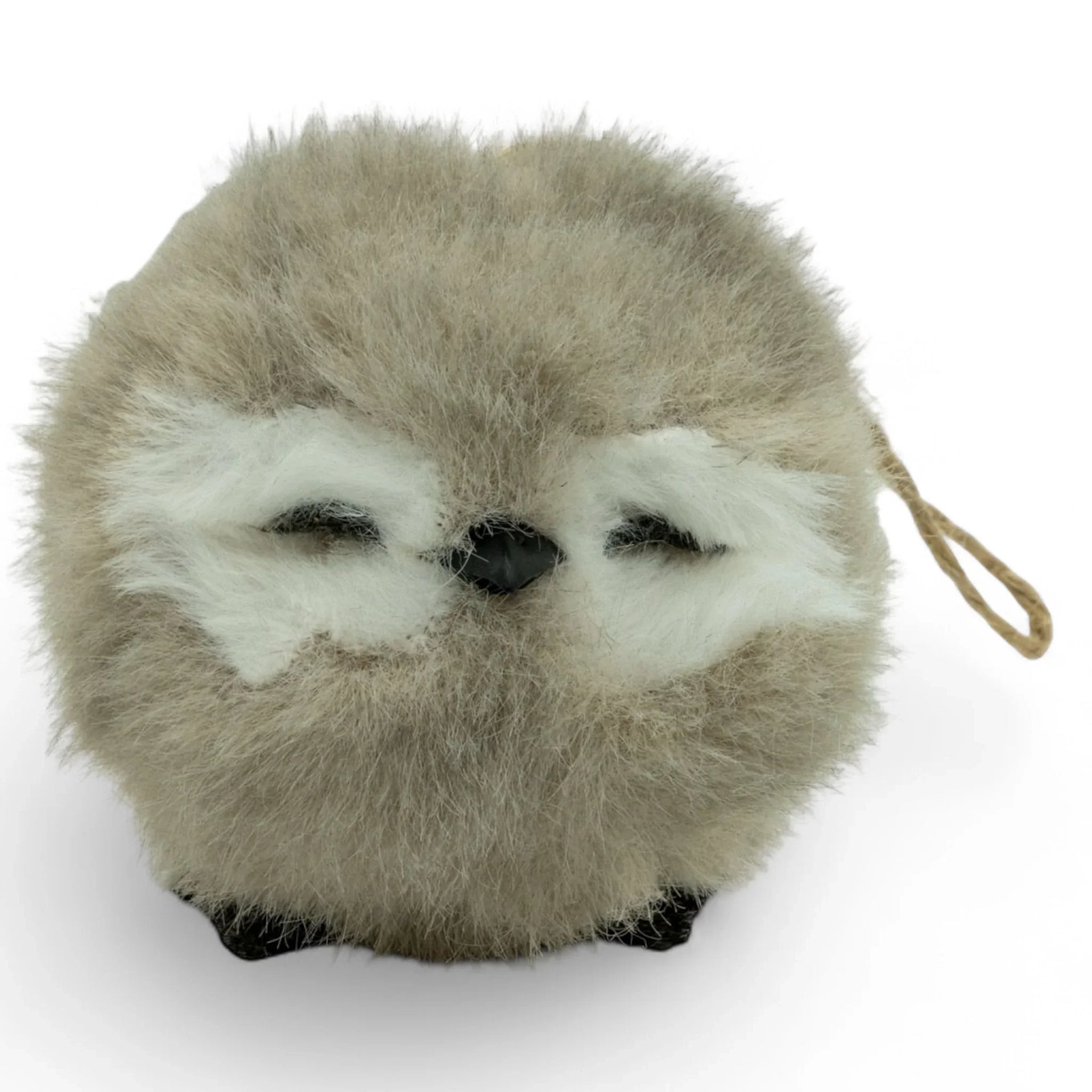 Grey Sitting Sleeping Owl