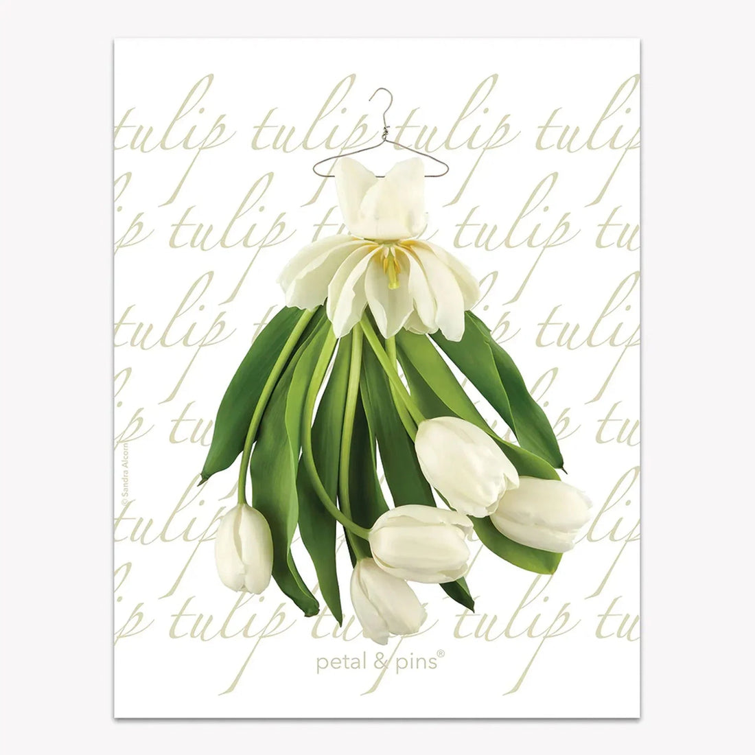 White tulip bouquet hanging on wire hanger, floral wall art with 'tulip' script background, petal & pins®