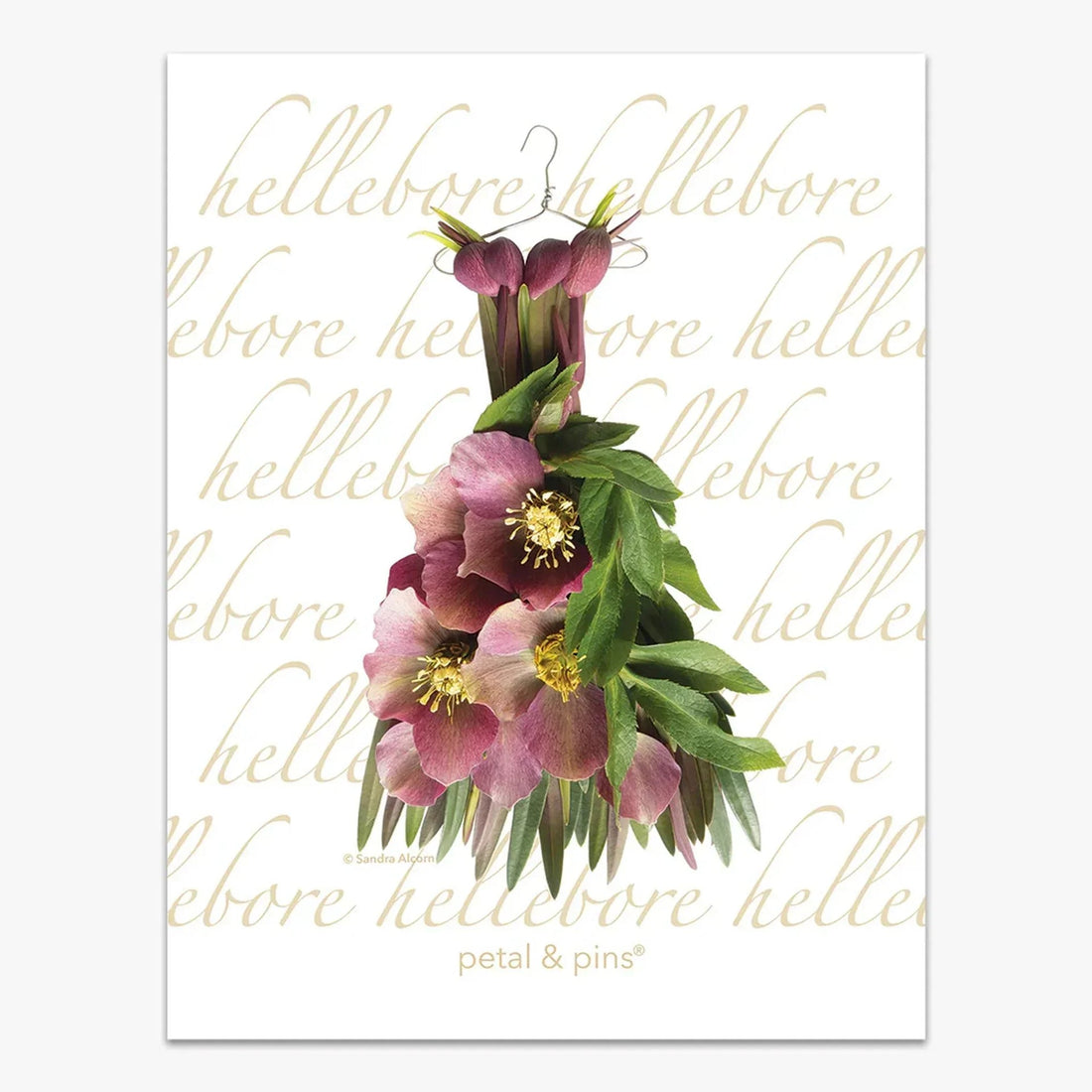 Elegant hellebore floral art print with gold script, perfect for home décor and vintage-inspired interiors.