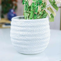 Barnacle Planter - Exquisite Homewares 