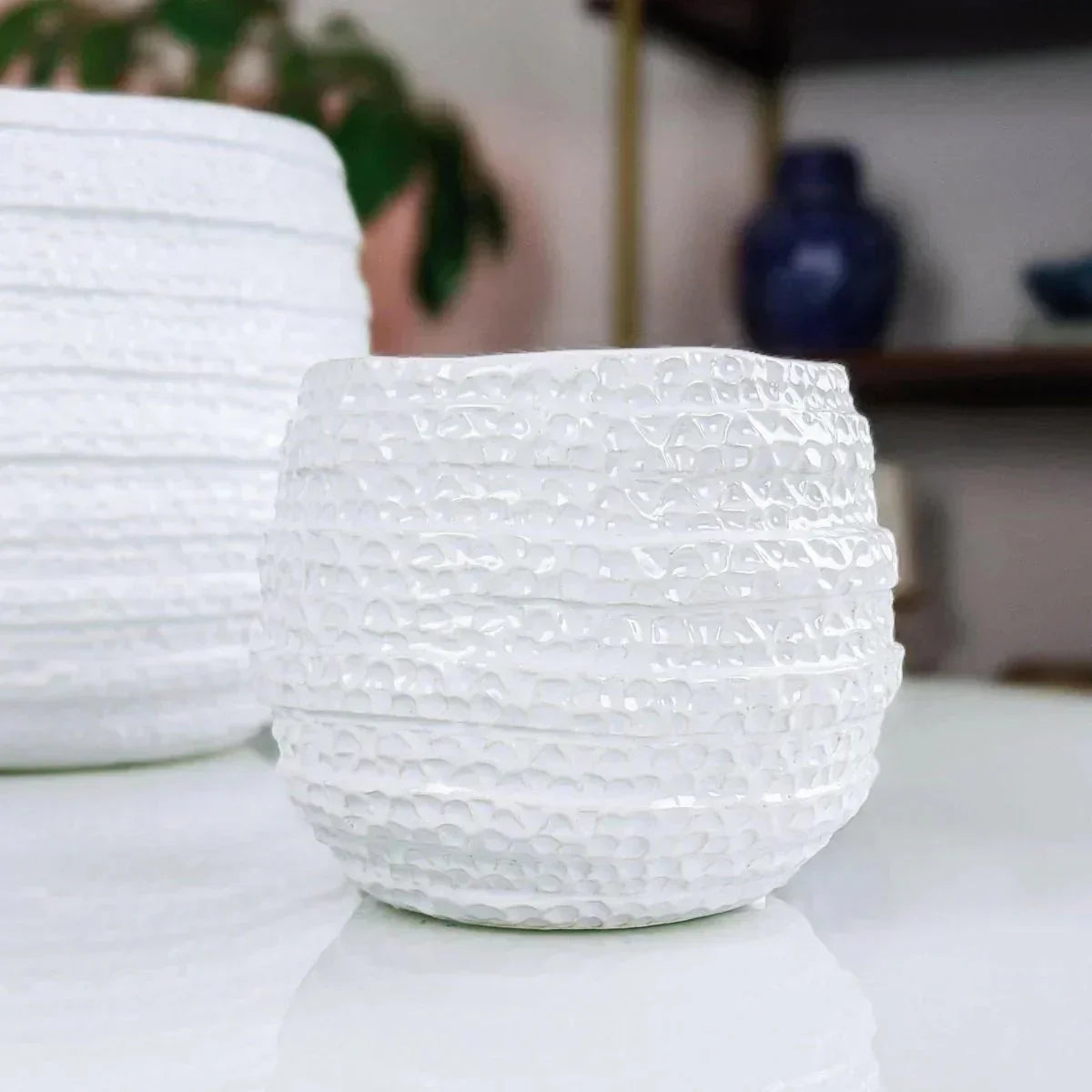Barnacle Planter - Exquisite Homewares 