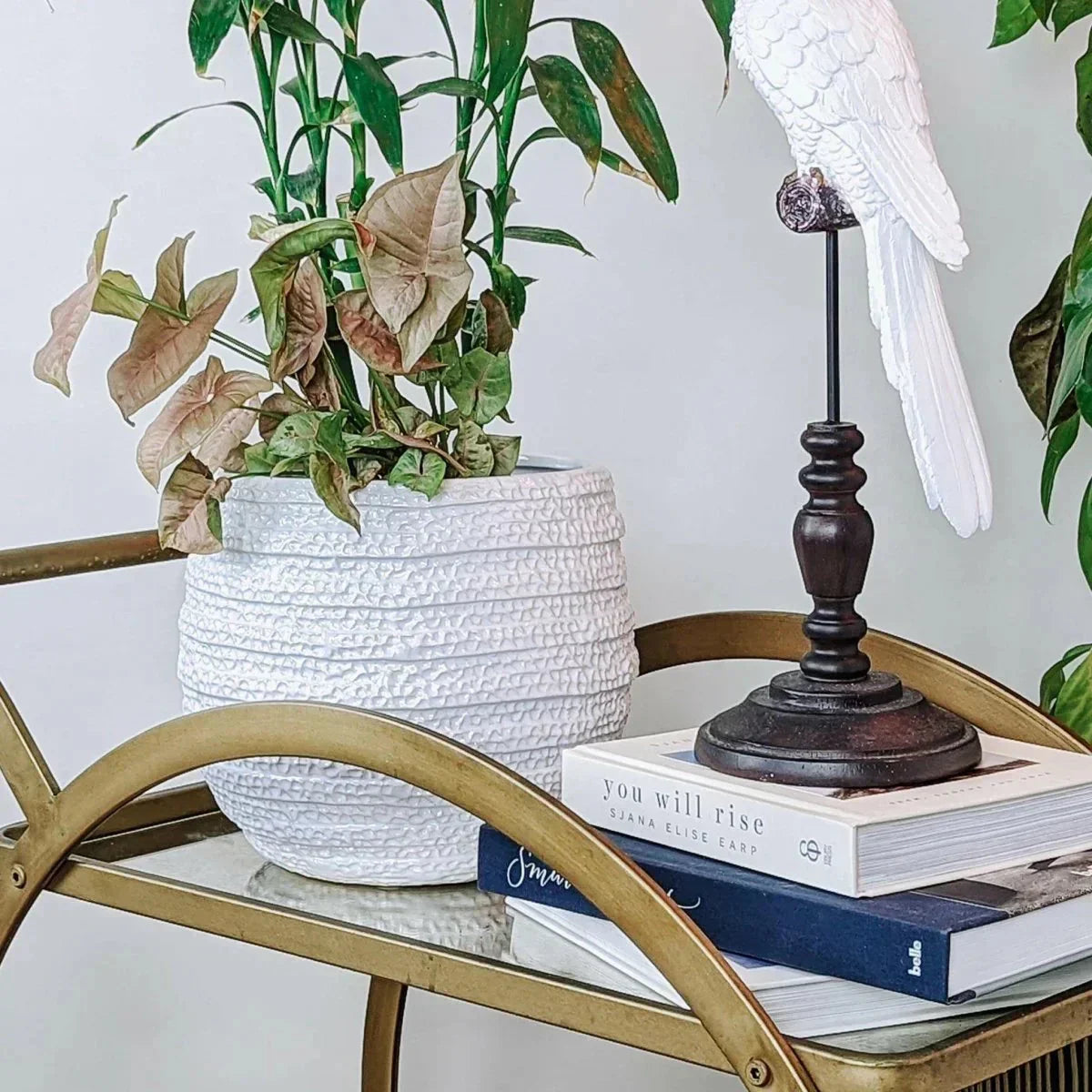 Barnacle Planter - Exquisite Homewares 