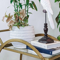 Barnacle Planter - Exquisite Homewares 