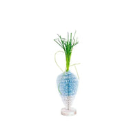 Blue Brush Carrot - House Journey